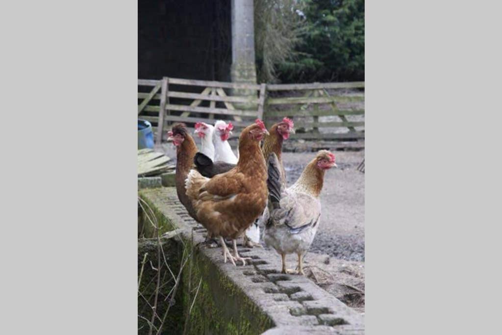 Stones Cottage Farm, Nr Haworth, Family Friendly, Work Friendly, Gaming Barn, Crafting, Free Wifi, Free Parking, Ev Point Oxenhope 외부 사진