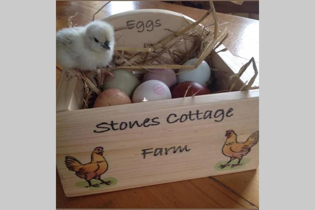 Stones Cottage Farm, Nr Haworth, Family Friendly, Work Friendly, Gaming Barn, Crafting, Free Wifi, Free Parking, Ev Point Oxenhope 외부 사진